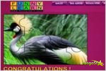 big magnificent bird puzzle rompecabezas de ave