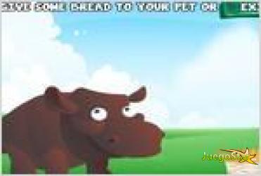 Juego  feed wild pets alimenta a los animales salvajes