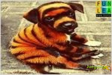 Juego  confused dog puzzle rompecabezas de perrito atigrado