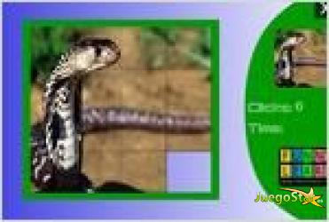 Juego  wild snake slide puzzle rompecabezas de serpiente salvaje