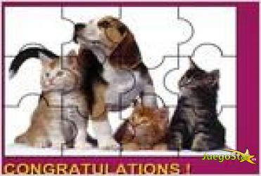 Juego cute animals puzzle rompecabezas de animales