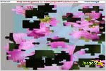 Juego  3 pink flowers flores de color rosa