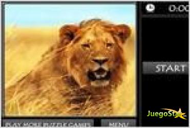 Juego  lion jigsaw puzzle rompecabezas de un hermoso leon