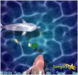 Juego tortuga come peces