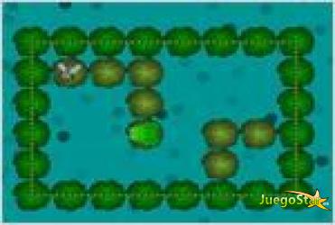 Juego  frog fly rana come moscas